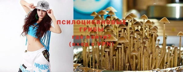 круглые Алексеевка