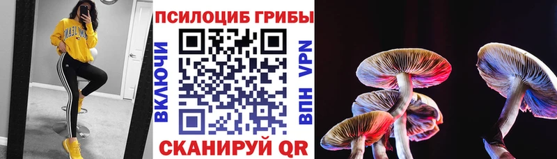 сколько стоит  Белово  Галлюциногенные грибы прущие грибы 