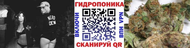 что такое наркотик  Белово  Бошки марихуана индика 